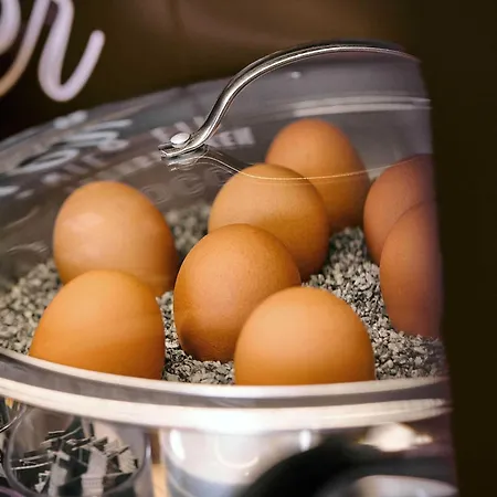 酒店 Hannover-lahe